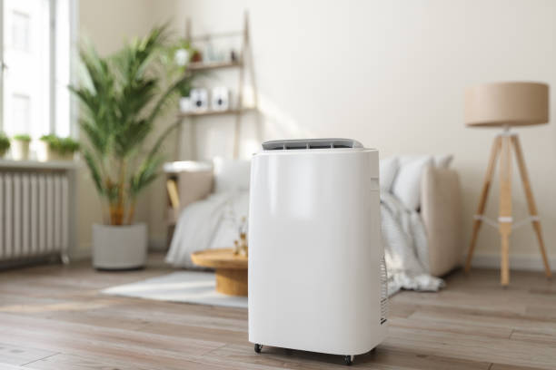 Best HVAC air duct cleaning  in North Port, FL